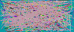 people finder reverse lookup