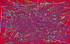 search for people